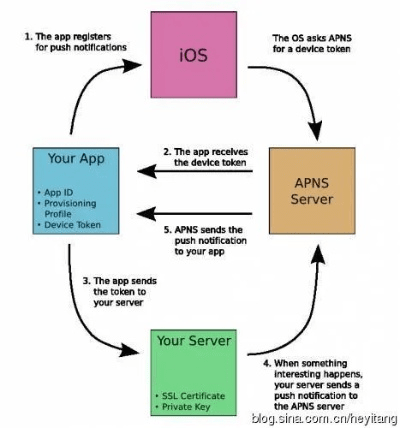 苹果低版本,高效策略设计解析&amp;U_v4.505