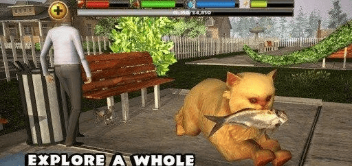 流浪猫模拟器中文版本,可靠性操作方案 移动版1_v8.661