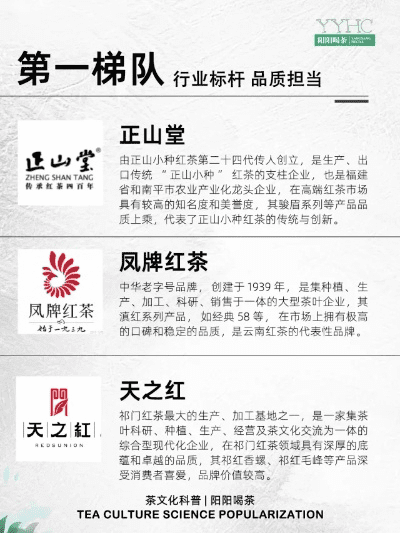 红莲爆炎与绿茶下载，行业标杆的系统化解析 MR_v1.466版