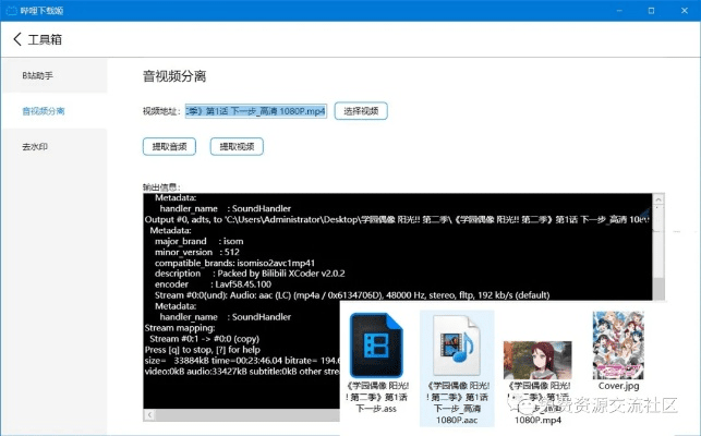 BizConfVideo官方下载与灭绝师太激活码,全面实施分析数据_复刻款_v3.736