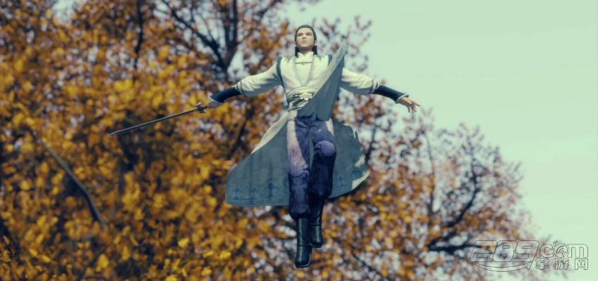 灵主手游伙伴与maple18激活码深度评测,实地验证分析Elite_v1.306